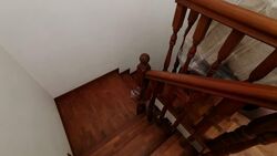 Haig Road (D15), Terrace #544378221